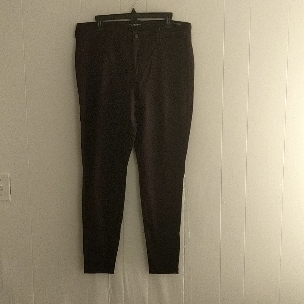 Liverpool size 14 plum skinny leg pants